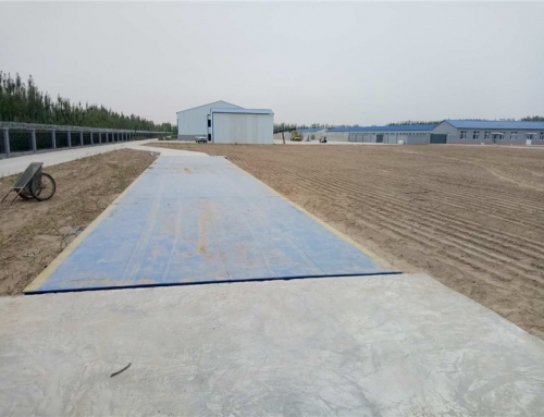 SCS/系列电子汽车衡